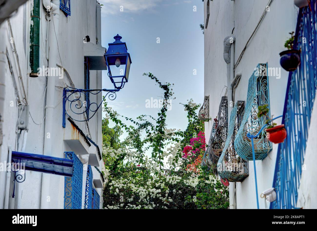 Sidi Bou Saïd, Tunisie Banque D'Images