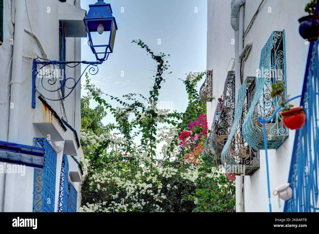 Sidi Bou Saïd, Tunisie Banque D'Images