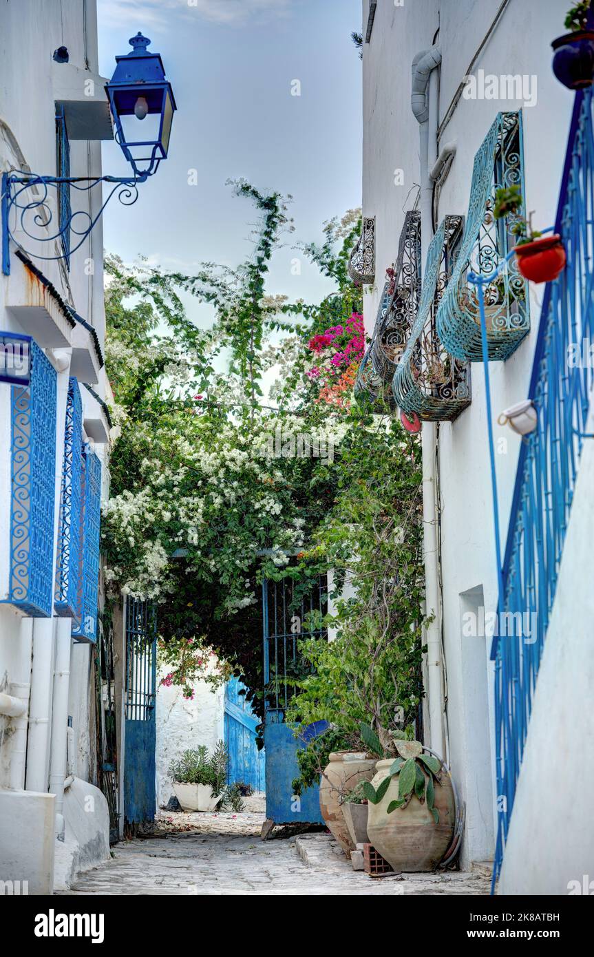 Sidi Bou Saïd, Tunisie Banque D'Images