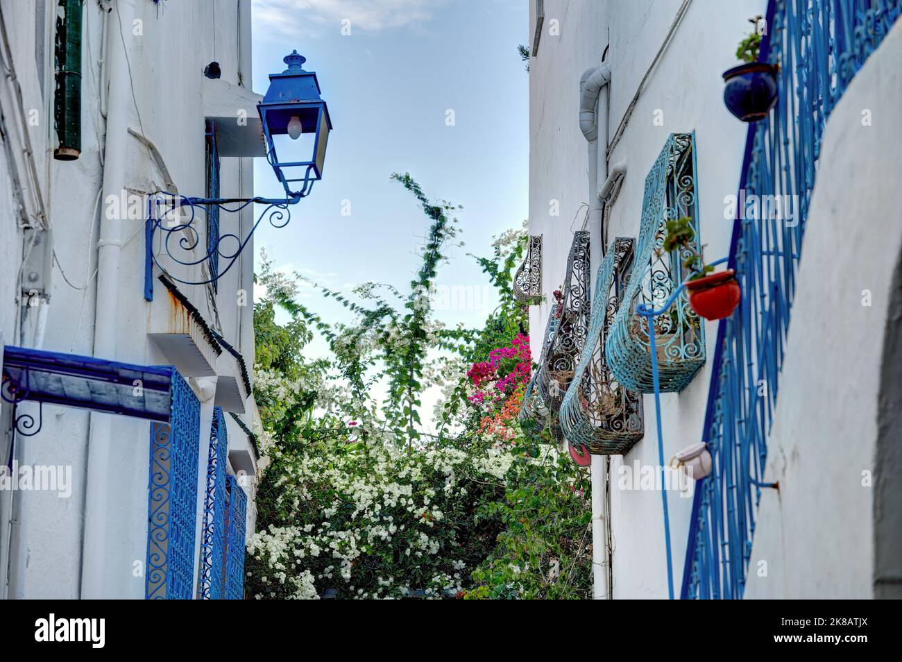 Sidi Bou Saïd, Tunisie Banque D'Images