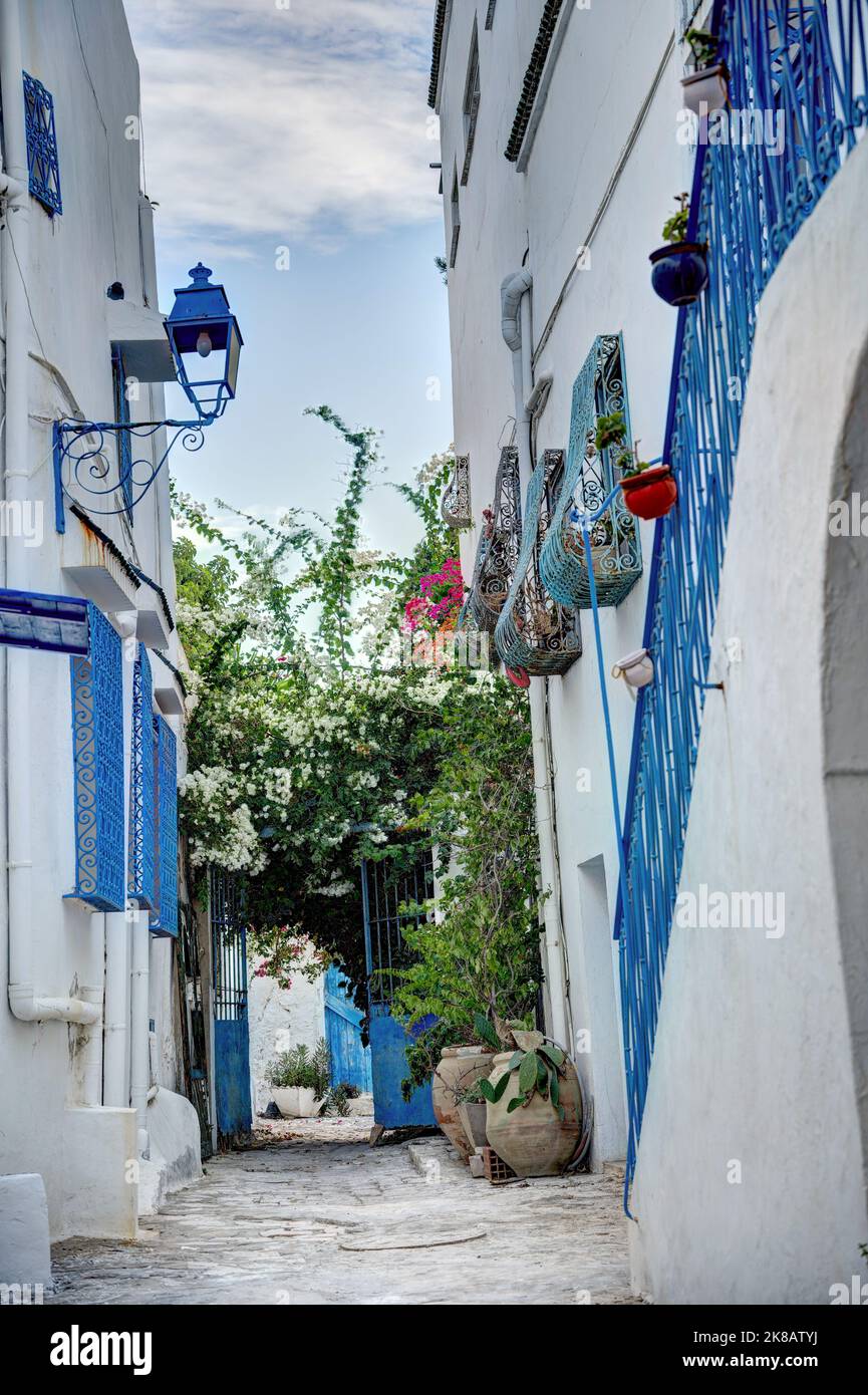 Sidi Bou Saïd, Tunisie Banque D'Images