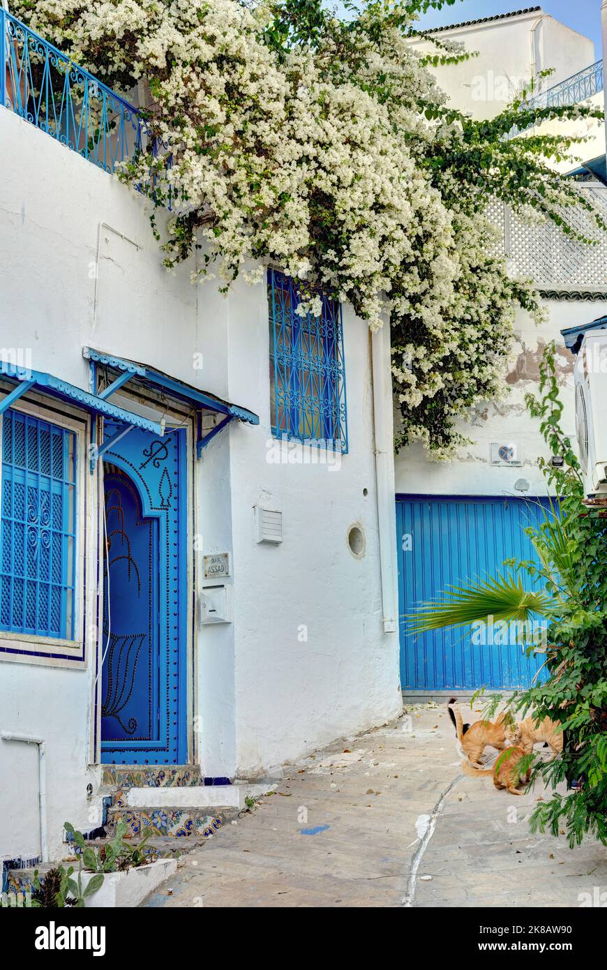 Sidi Bou Saïd, Tunisie Banque D'Images