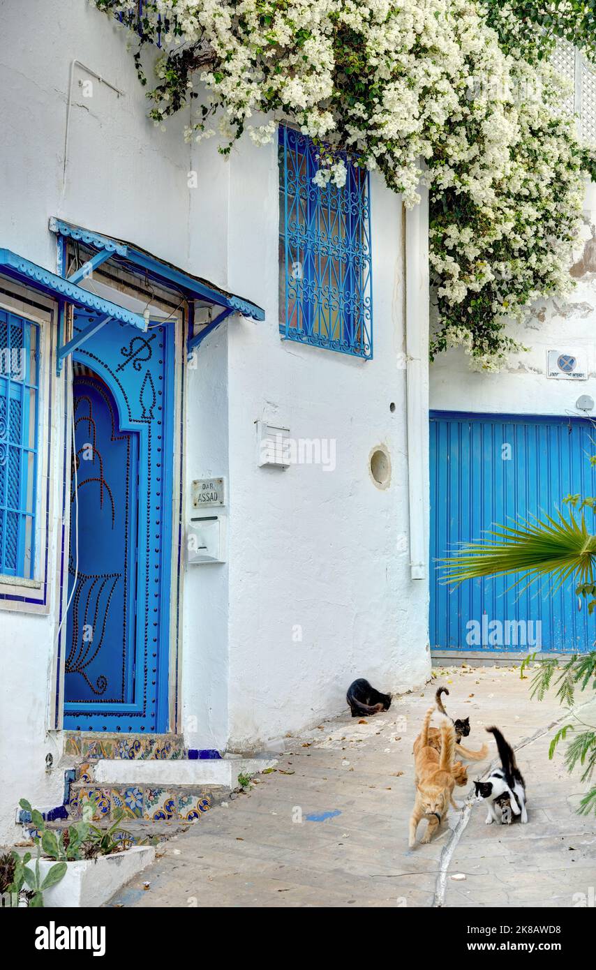 Sidi Bou Saïd, Tunisie Banque D'Images