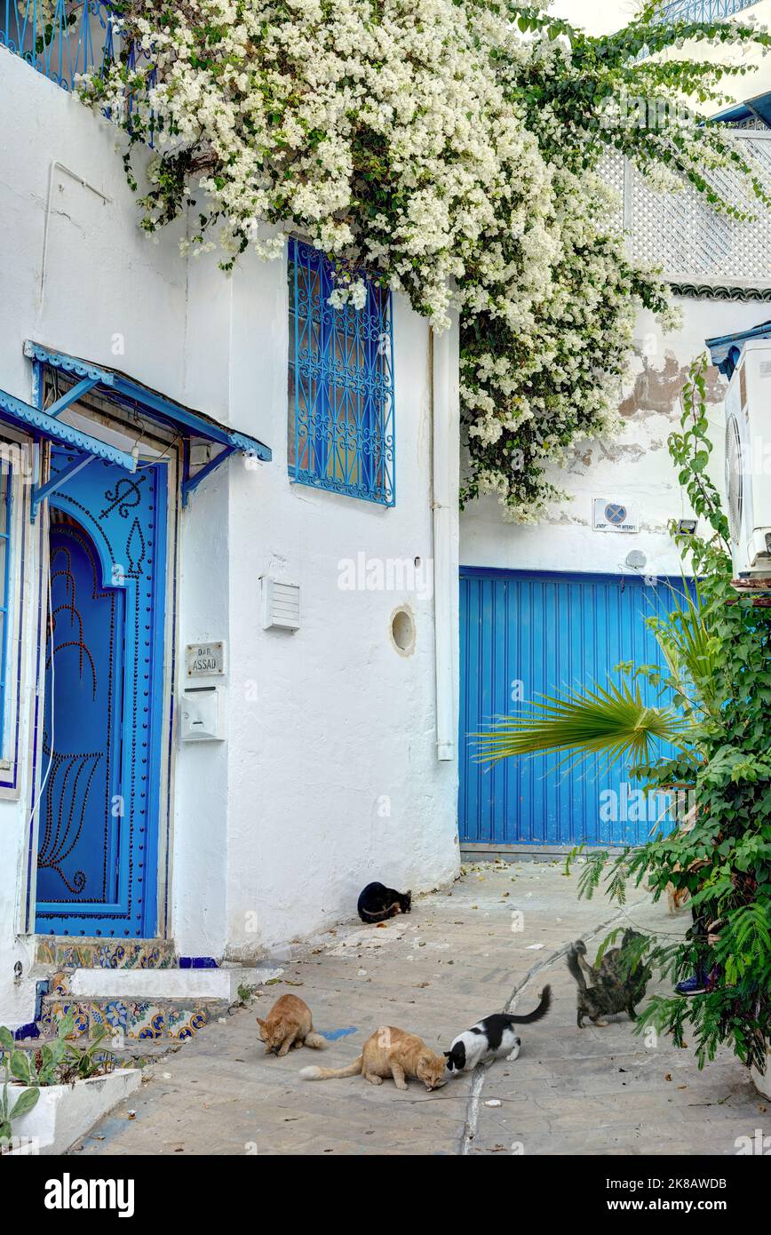 Sidi Bou Saïd, Tunisie Banque D'Images
