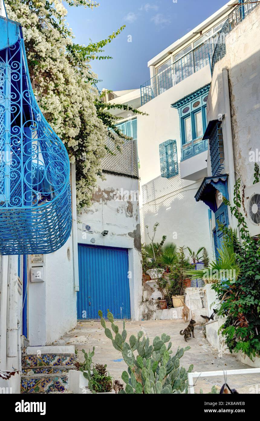 Sidi Bou Saïd, Tunisie Banque D'Images