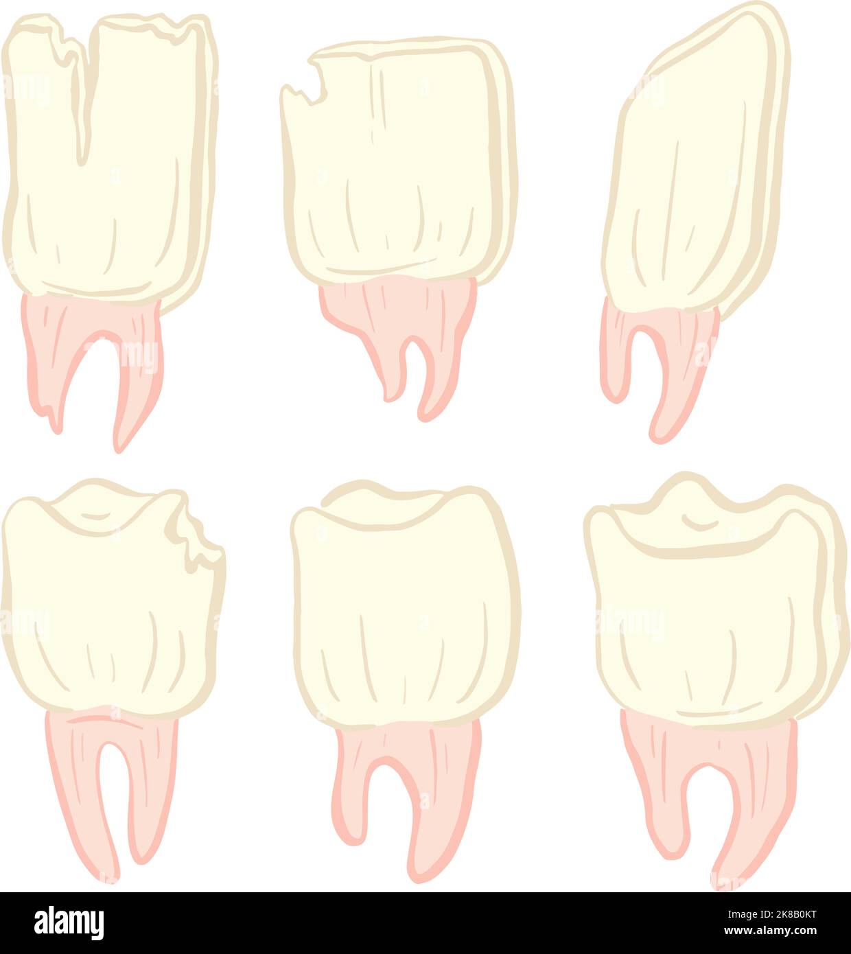 Collection de dents ou de dents Illustration Collection icône avec racine Illustration de Vecteur