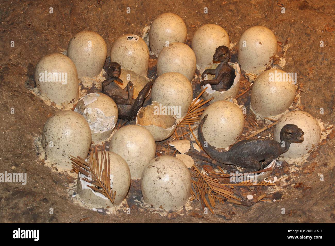 Écloseries de dinosaures Banque D'Images