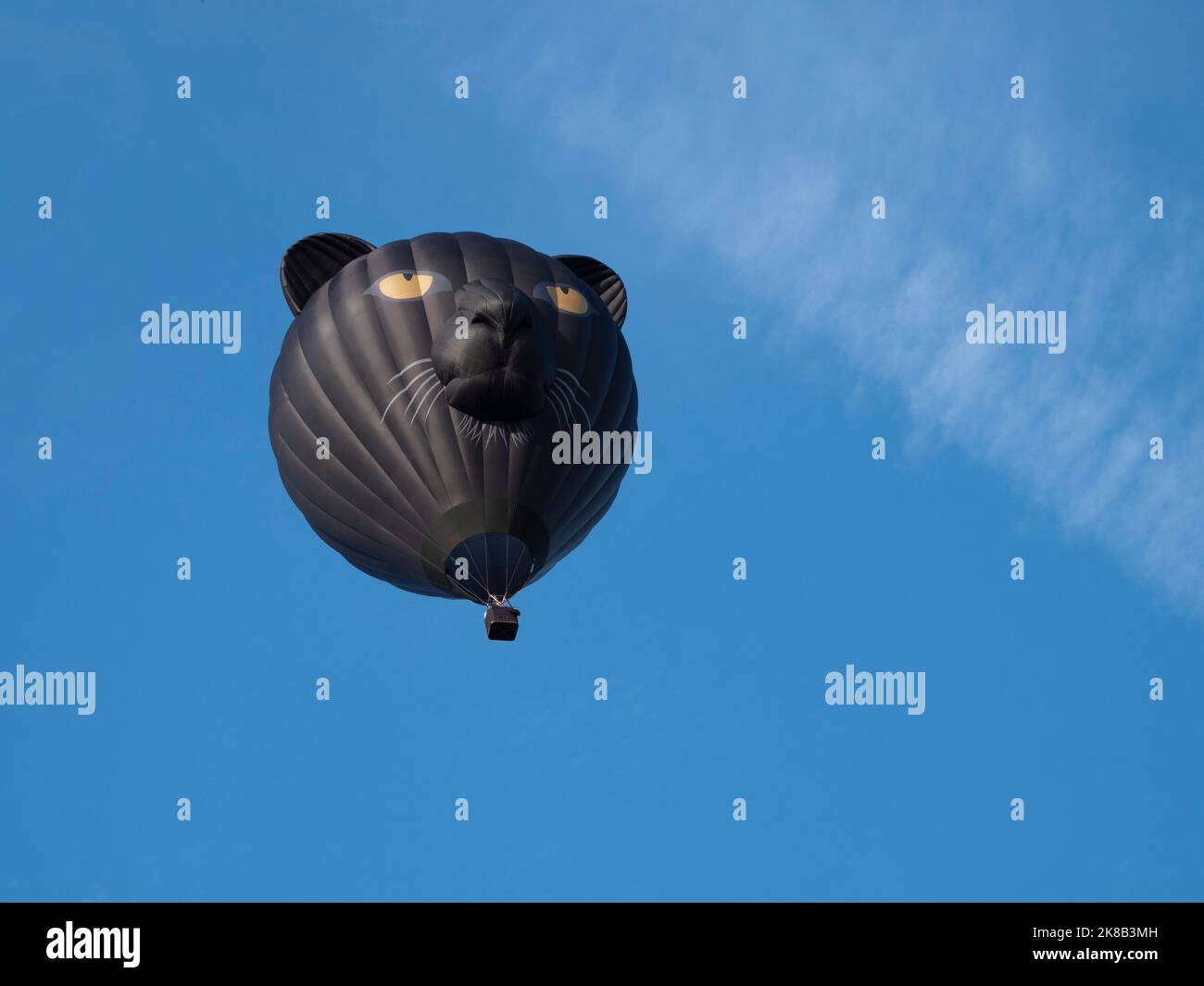 Ballon à air chaud de forme spéciale en forme de tête de chat noir Banque D'Images