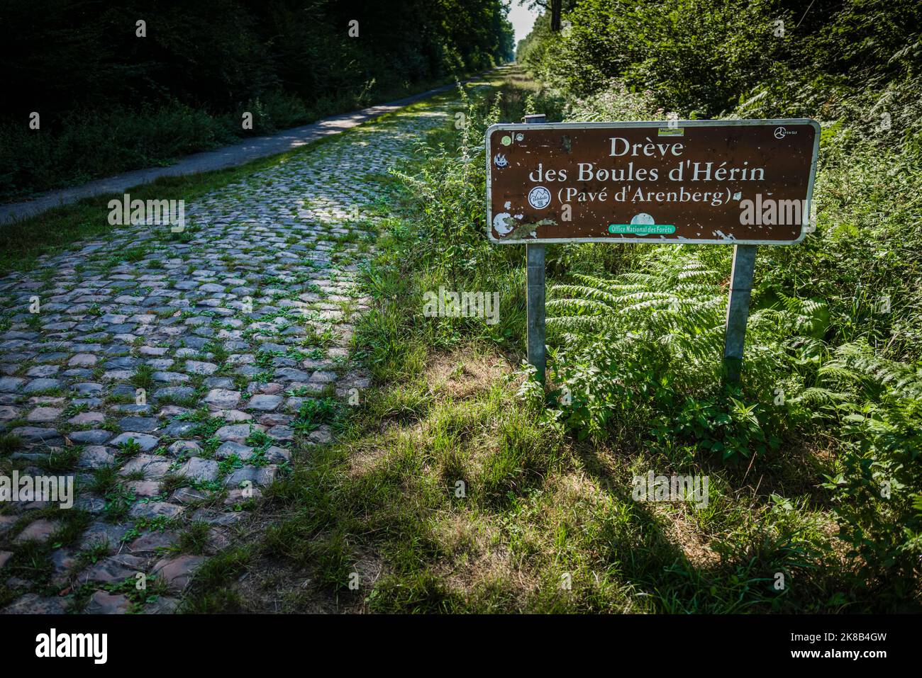 Le signe qui indique les pavés les plus célèbres de Paris–Roubaix, Arenberg Forrest, Wallers, Nord de la France. Banque D'Images