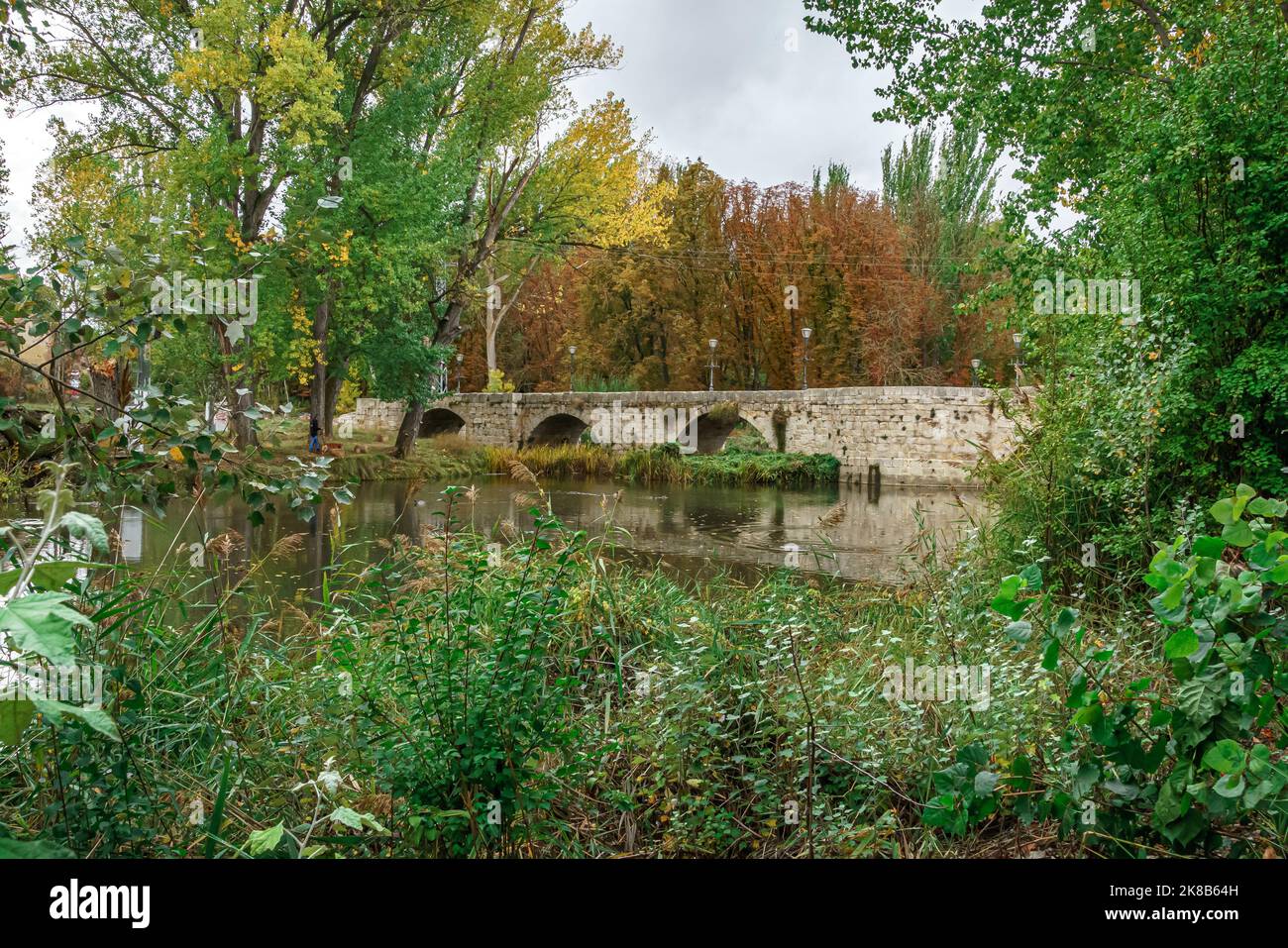 Pont romain de Parque Sotillo à Palencia. Espagne. Banque D'Images