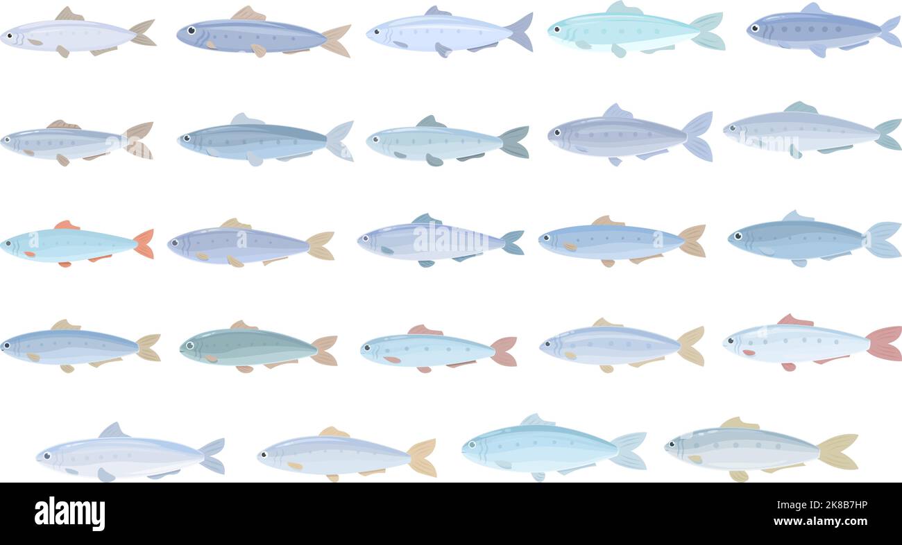Les icônes sardine définissent le vecteur de dessin animé. Peut pêcher. Collation à l'huile Illustration de Vecteur