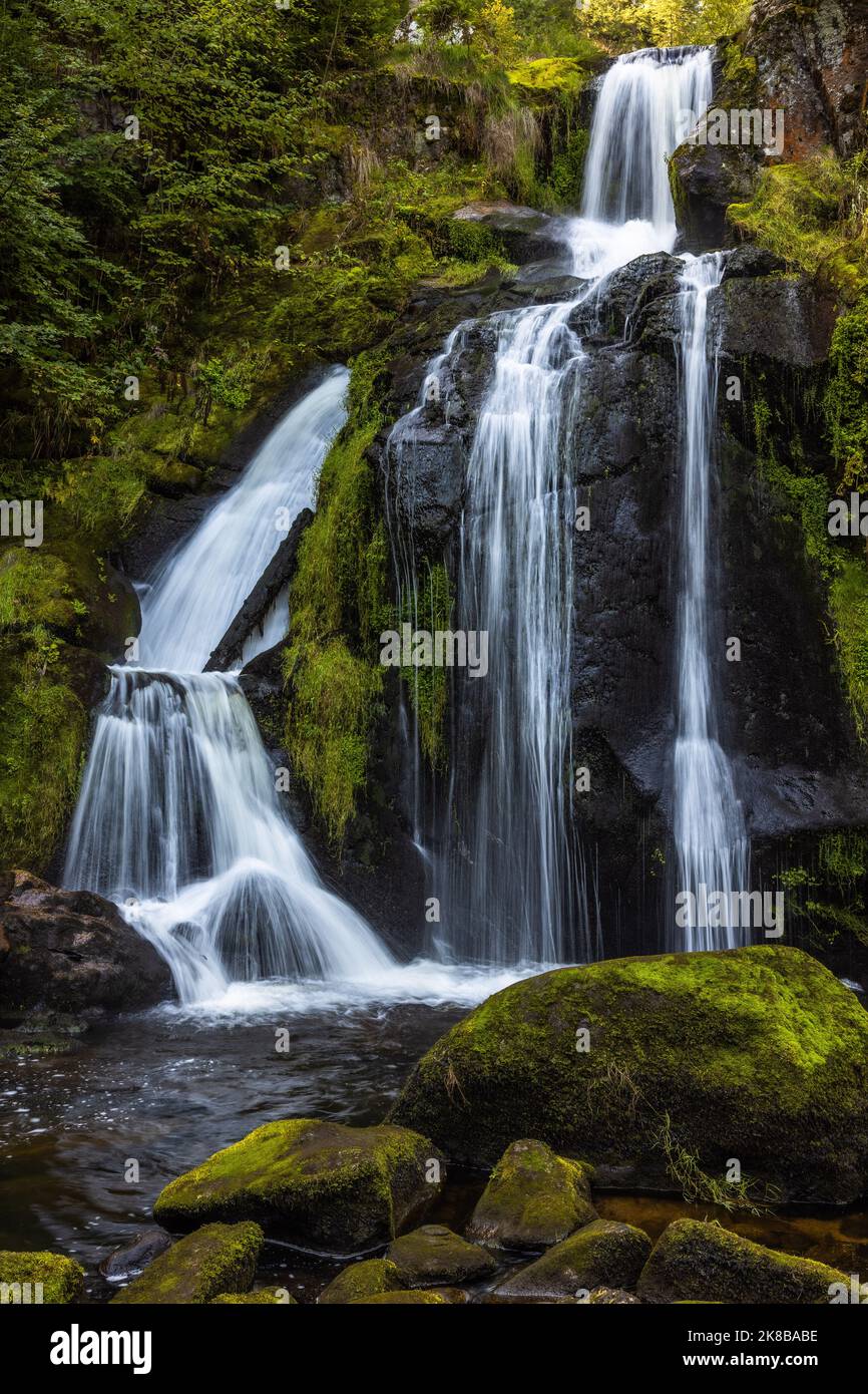 Cascade de Triberg, Allemagne Banque D'Images
