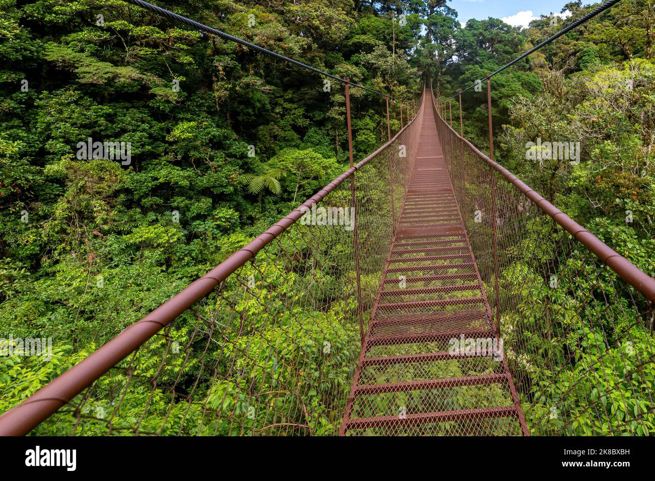 Forêt tropicale de Panama. Vieux pont suspendu dans la jungle de Panama, Amérique centrale. Banque D'Images