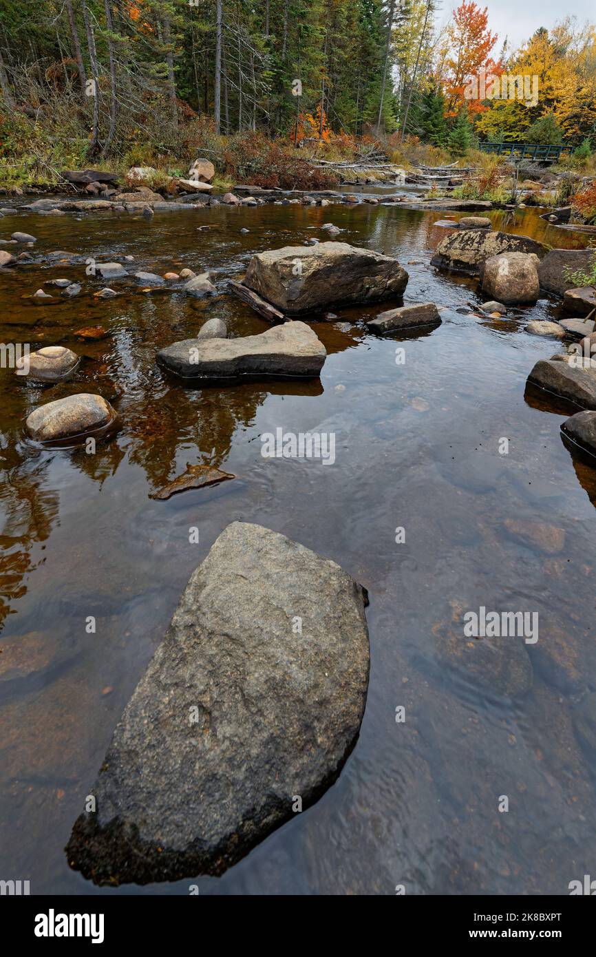 Paysage de petite rivière qui coule dans une forêt aux couleurs d'automne, Parc de la Mauricie, Québec Banque D'Images