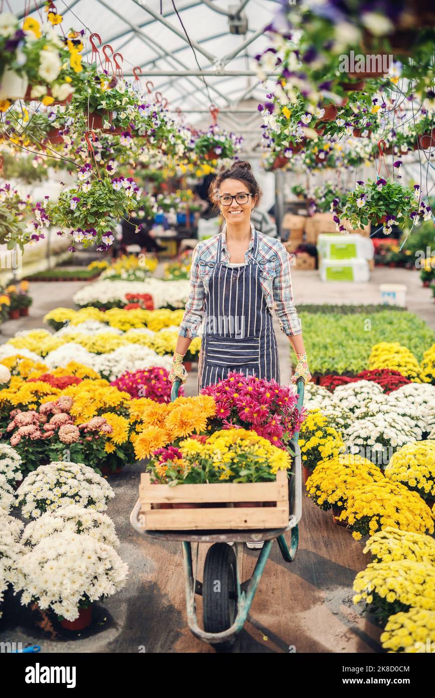 Jeune fleuriste caucasien souriant en tablier repositionnant les fleurs avec la brouette. Intérieur en serre. Banque D'Images