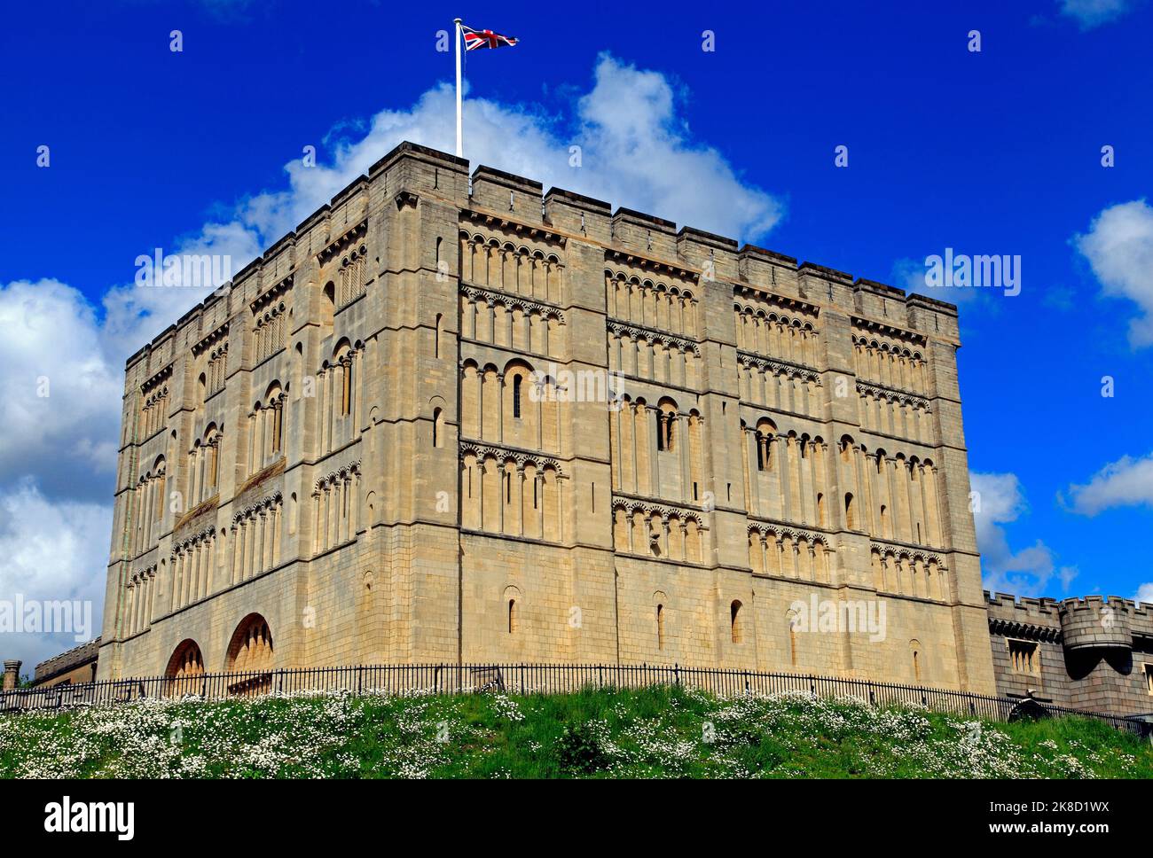 Château de Norwich, châteaux médiévaux anglais, Norfolk, Angleterre Banque D'Images
