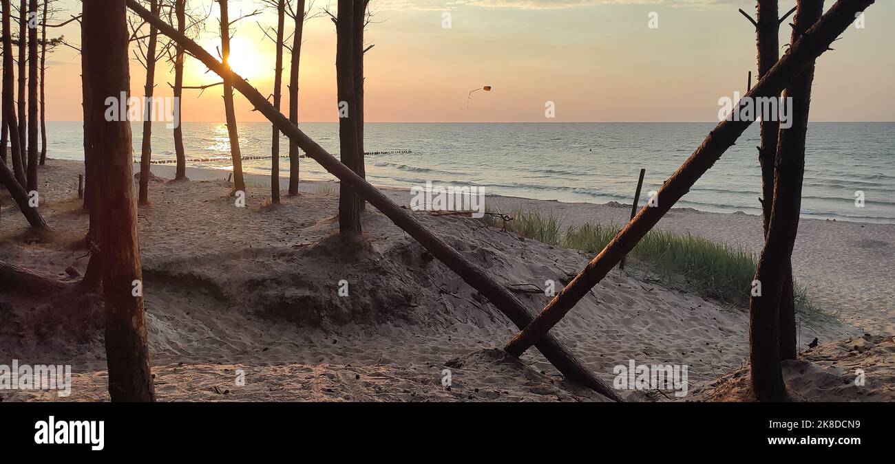 Plage sur la mer Baltique. Paysage de soirée avec une plage de sable, dunes couvertes d'arbres Banque D'Images