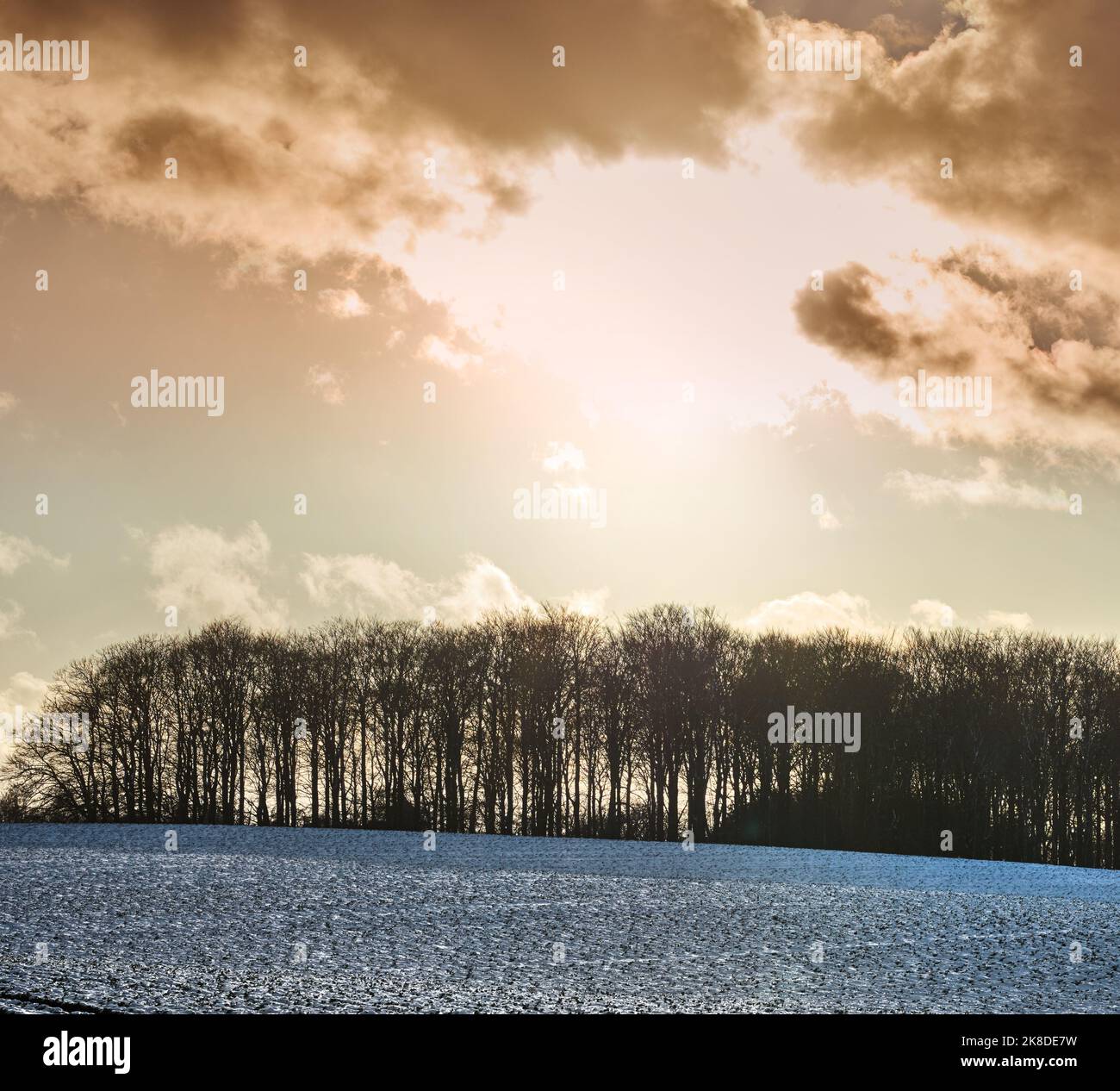 Hiver - campagne au Danemark. Paysage d'hiver par jour ensoleillé avec ciel bleu. Banque D'Images