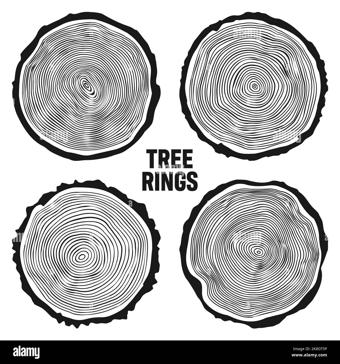 Troncs d'arbre ronds, tranches de pin ou de chêne sciées, bois d'œuvre.Bois scié, bois.Texture en bois avec anneaux.Esquisse dessinée à la main.Illustration vectorielle Illustration de Vecteur