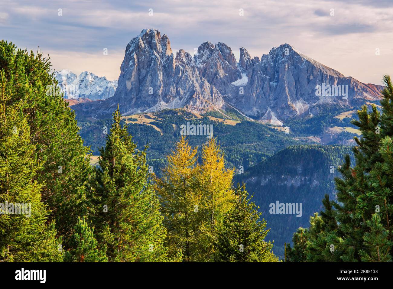 Sassolungo Group 3181m, Ortisei, Val Gardena, Val Gardena, Dolomites, Province de Bolzano, Tyrol du Sud, Trentin-Haut-Adige, Italie du Nord, Italie Banque D'Images