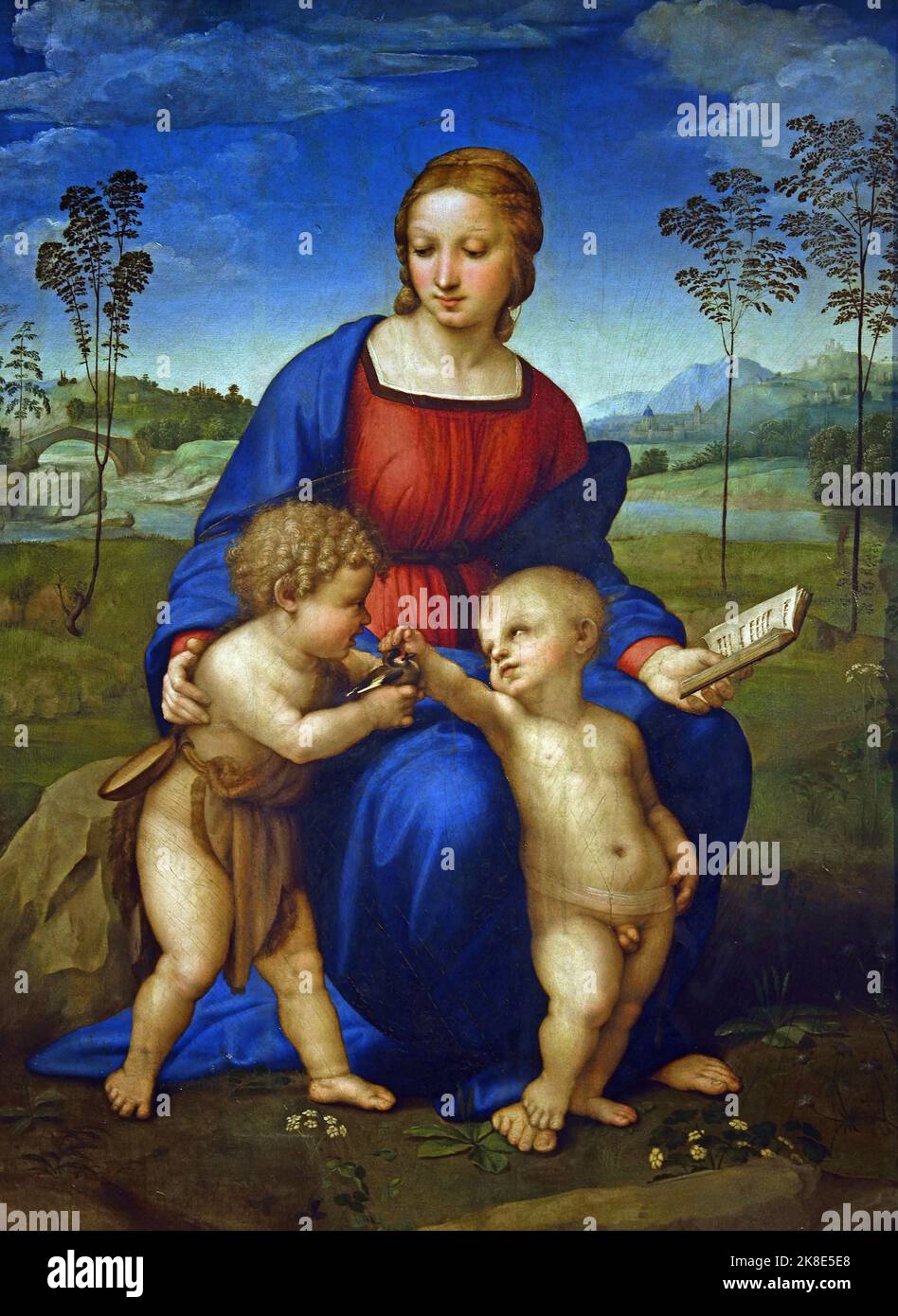 Marie, le Christ et le jeune Jean-Baptiste, connu sous le nom de « Madonna du Goldfinch » Raffaello Sanzio (Urbino 1483 – Roma 1520) , Florence, Italie. ( Période florentine de Raphaël (1504-1508), au cours de laquelle il a pu étudier les grands maîtres de Florence et aussi travailler pour certaines des plus importantes familles de marchands ) Banque D'Images