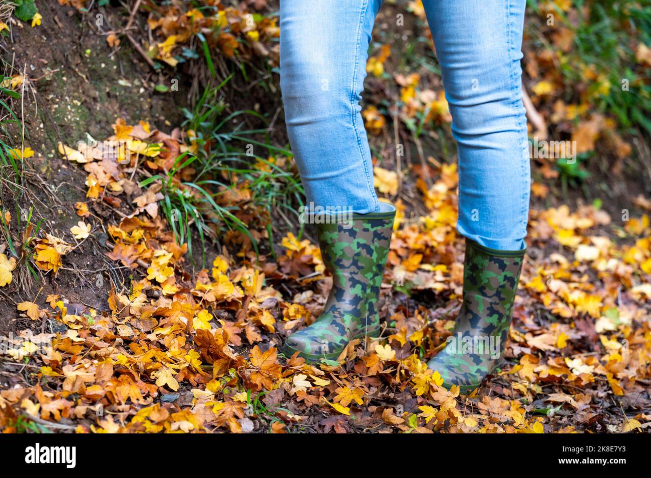 Femme portant des bottes de camouflage wellington marchant à travers l'automne quitte l'Angleterre Royaume-Uni Banque D'Images