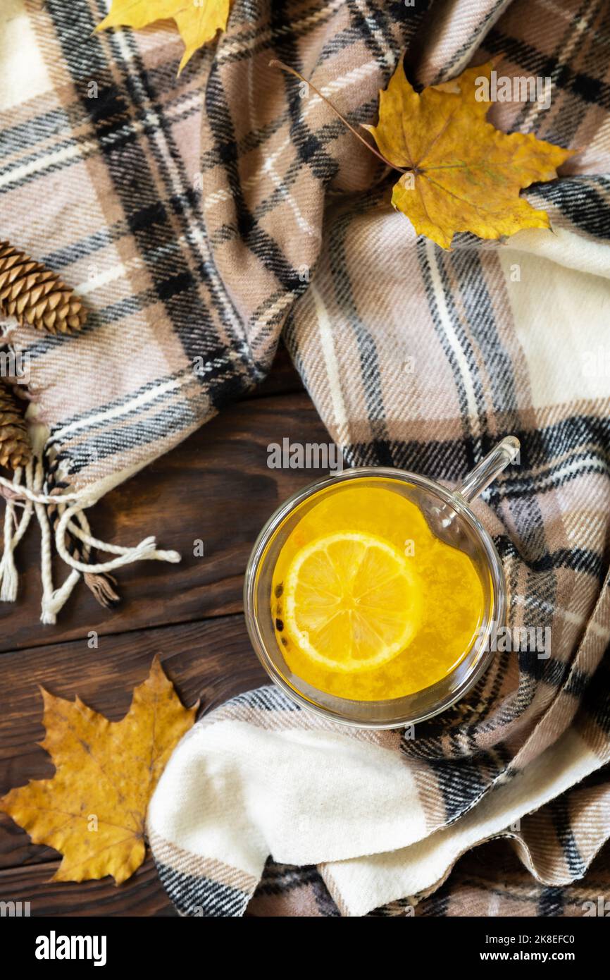 Concept d'automne saisonnier avec boisson. Tasse de thé chaud ​​​​buckthorn de mer avec citron, écharpe chaude et feuilles d'érable sur fond rustique, mise à plat créative. Banque D'Images