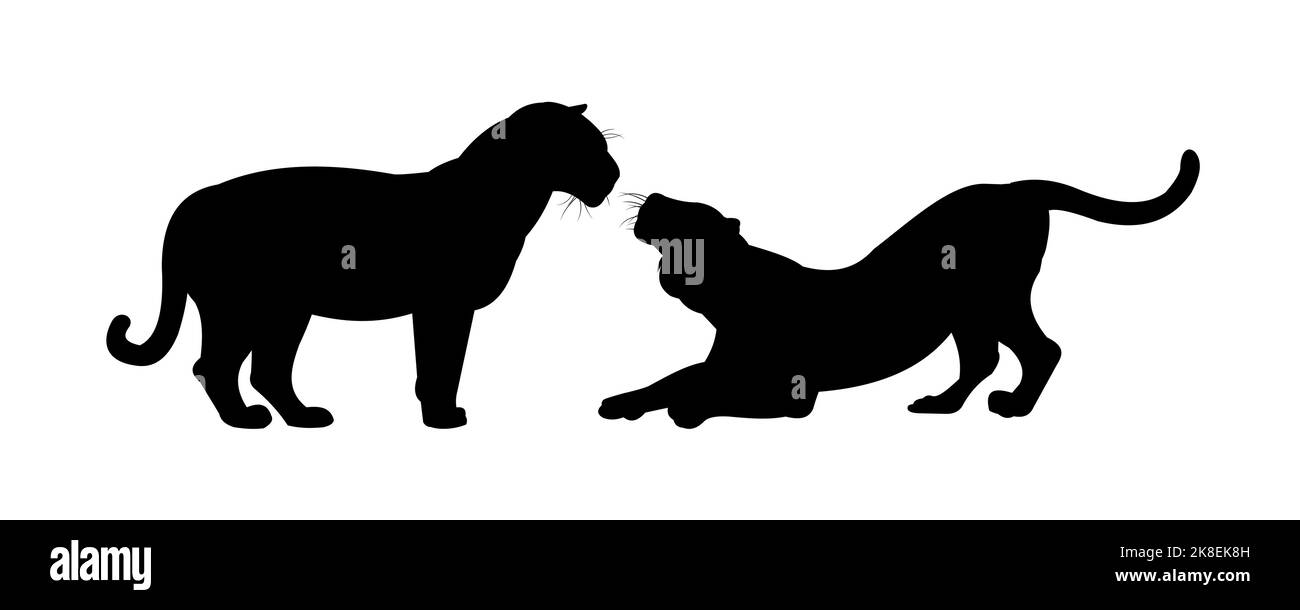 Lion mâle et femelle. Prédateurs animaux sauvages. Silhouette. Isolé sur fond blanc. Vecteur Illustration de Vecteur