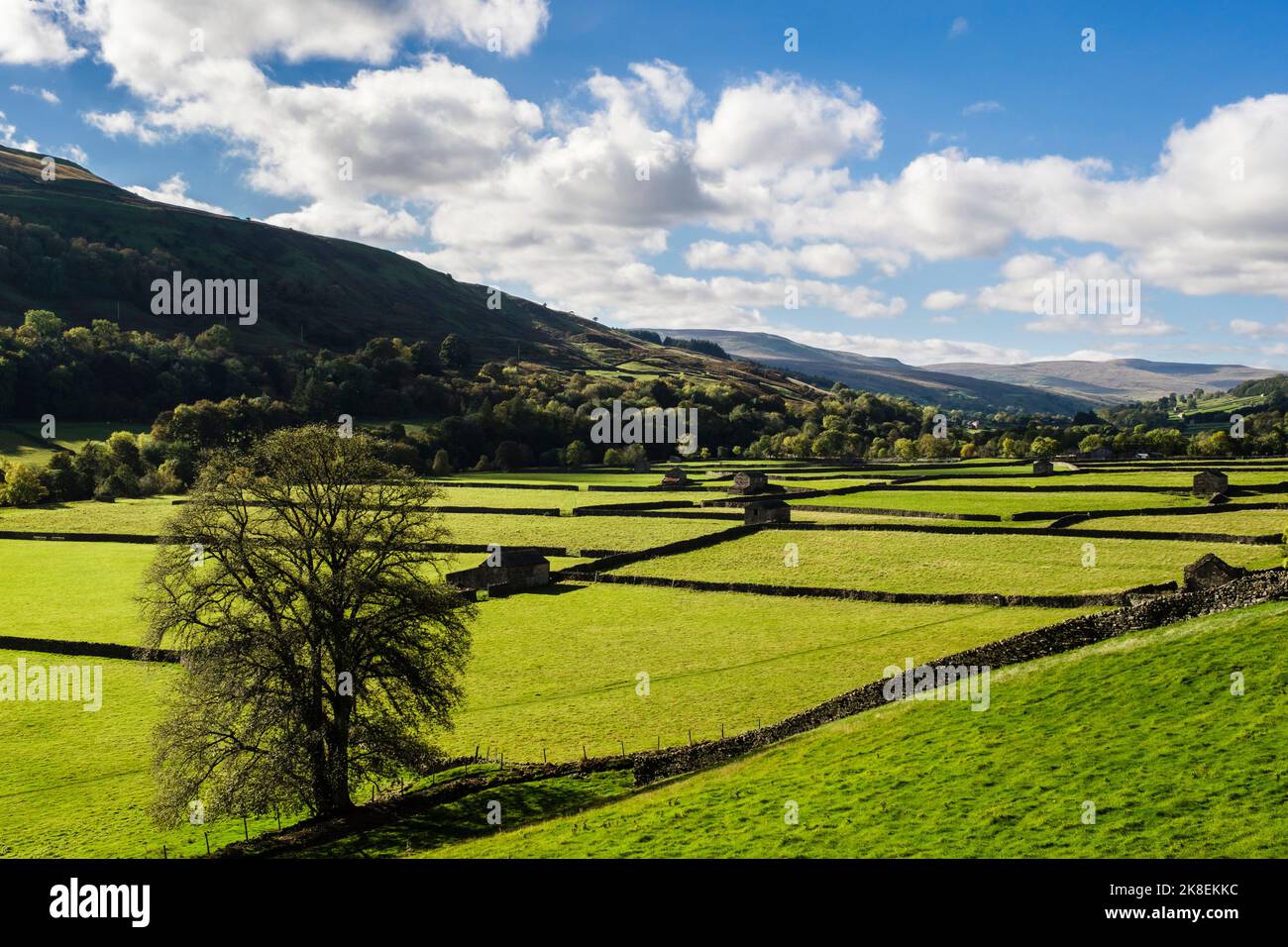 Campagne anglaise avec champs, granges et murs en pierre dans le parc national de Yorkshire Dales. Gunnerside, Swaledale, Yorkshire du Nord, Angleterre, Royaume-Uni, Grande-Bretagne Banque D'Images
