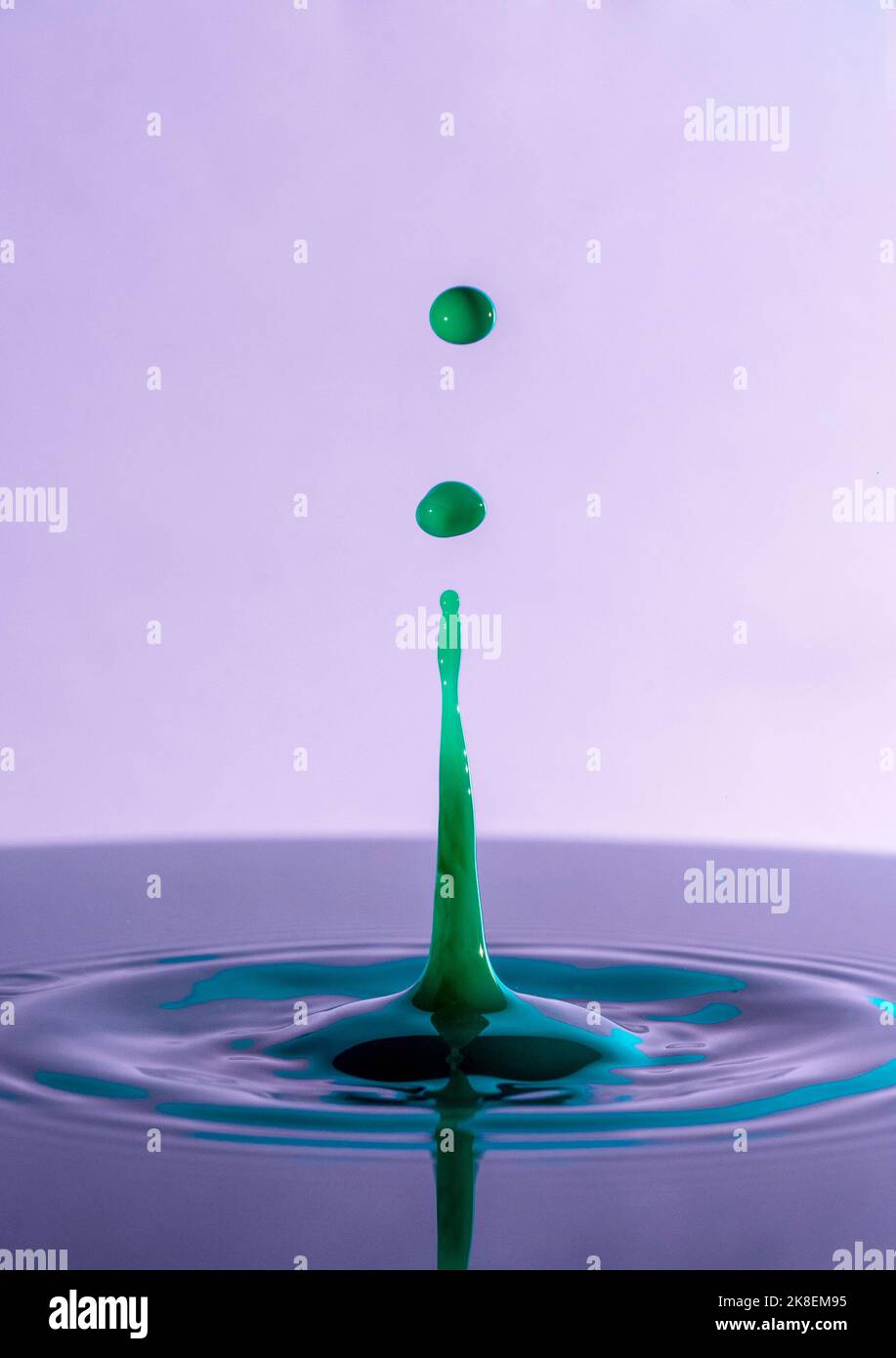 Gros plan de gouttes d'eau de couleur verte éclaboussant sur la surface sur fond violet. Banque D'Images