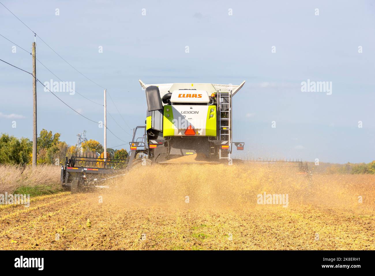 Récolte des haricots verts. Moissonneuse-batteuse Claas Lexion 7500. Comté d'Ontario. Hopewell, New York Banque D'Images