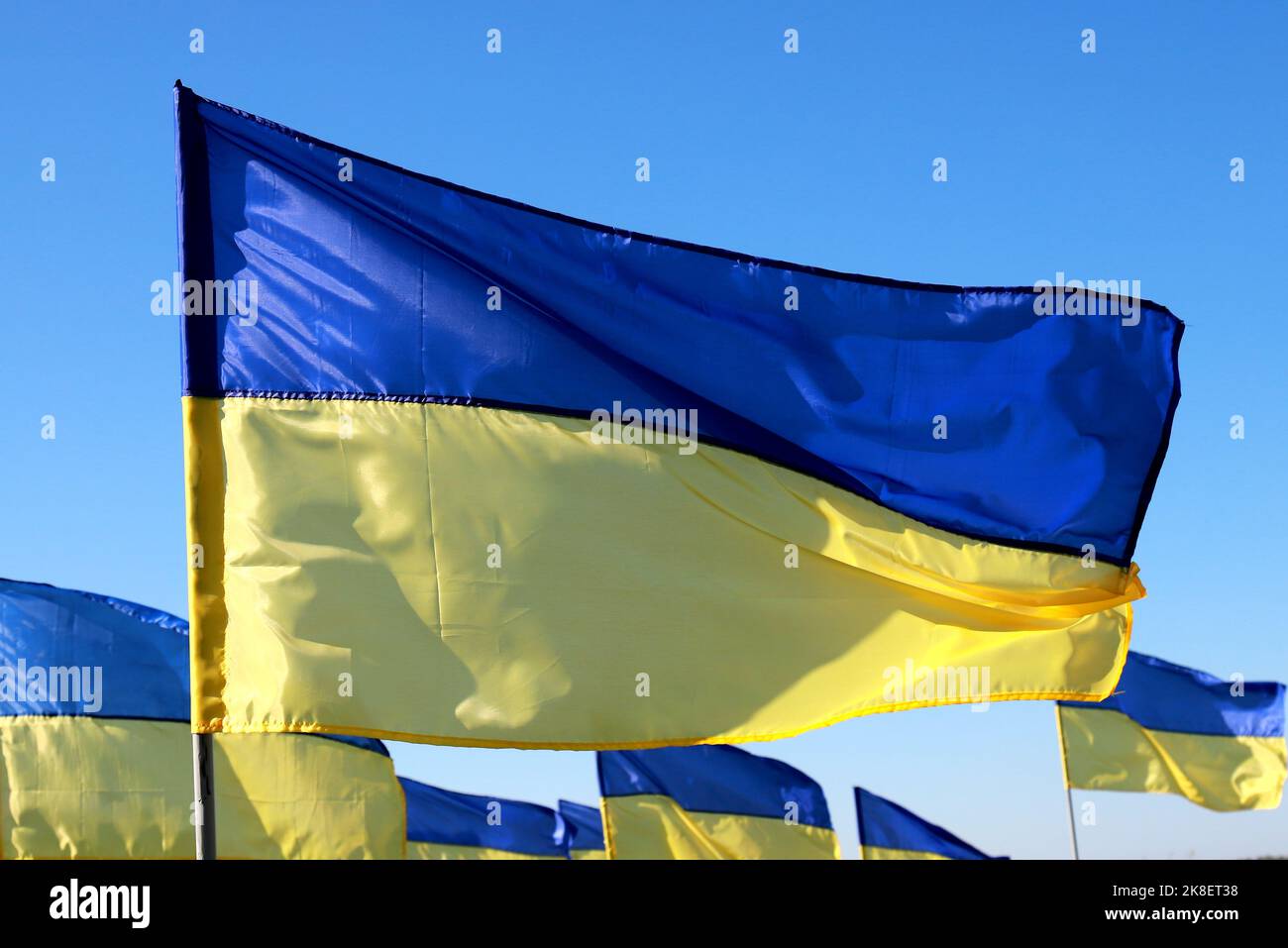 Beaucoup de drapeau de l'Ukraine flimtant dans le vent. Lutte héroïque du peuple ukrainien contre la guerre russe. Constitution, indépendance, drapeau, jour du défenseur de l'UKR Banque D'Images