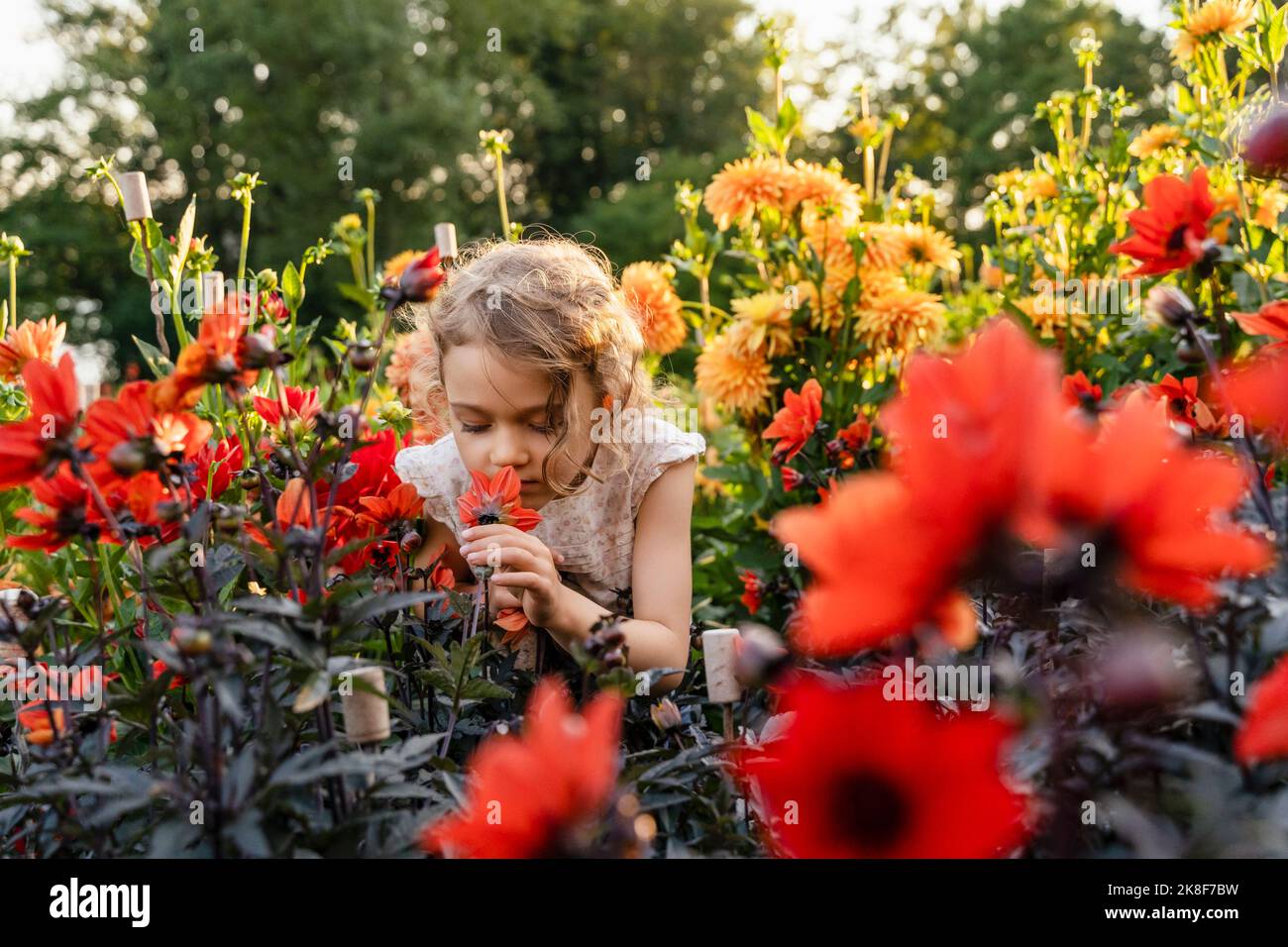 Petite fille sentant des fleurs dans le jardin Banque D'Images