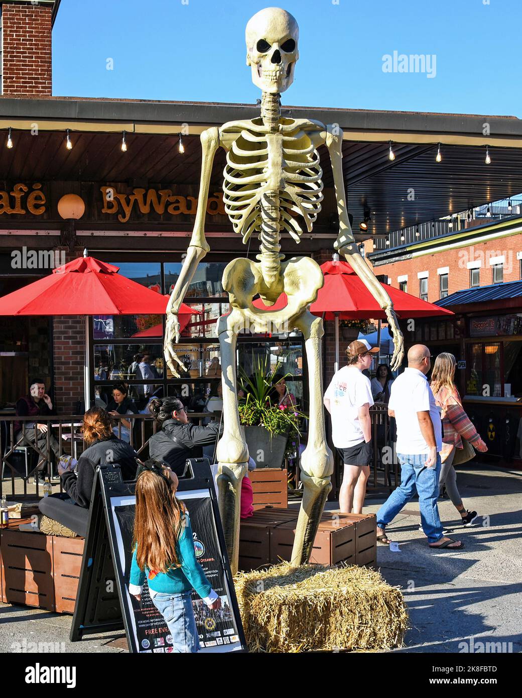 Ottawa, Canada - 22 octobre 2022: La jeune fille regarde l'énorme décoration de squelette mise en place pour Halloween dans le marché By. Banque D'Images
