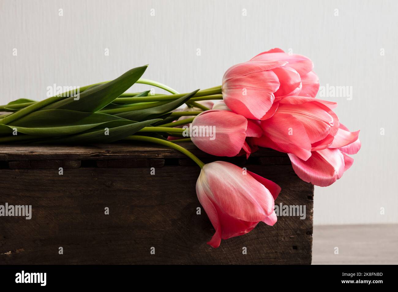 Tulipes Don Quichotte à fleurs roses couchés au-dessus d'une boîte en bois Banque D'Images