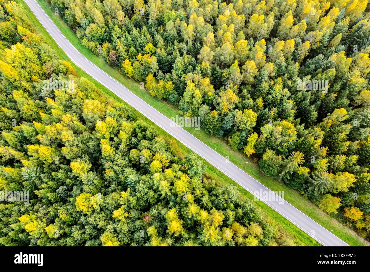 Allemagne, Bade-Wurtemberg, Drone vue de la route de campagne traversant la forêt verte d'automne dans la vallée de Rems Banque D'Images