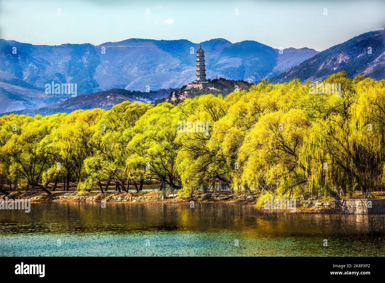 Yu Feng Pagode Yu Quan Hill Summer Palace Yellow Willows Beijing Chine Banque D'Images