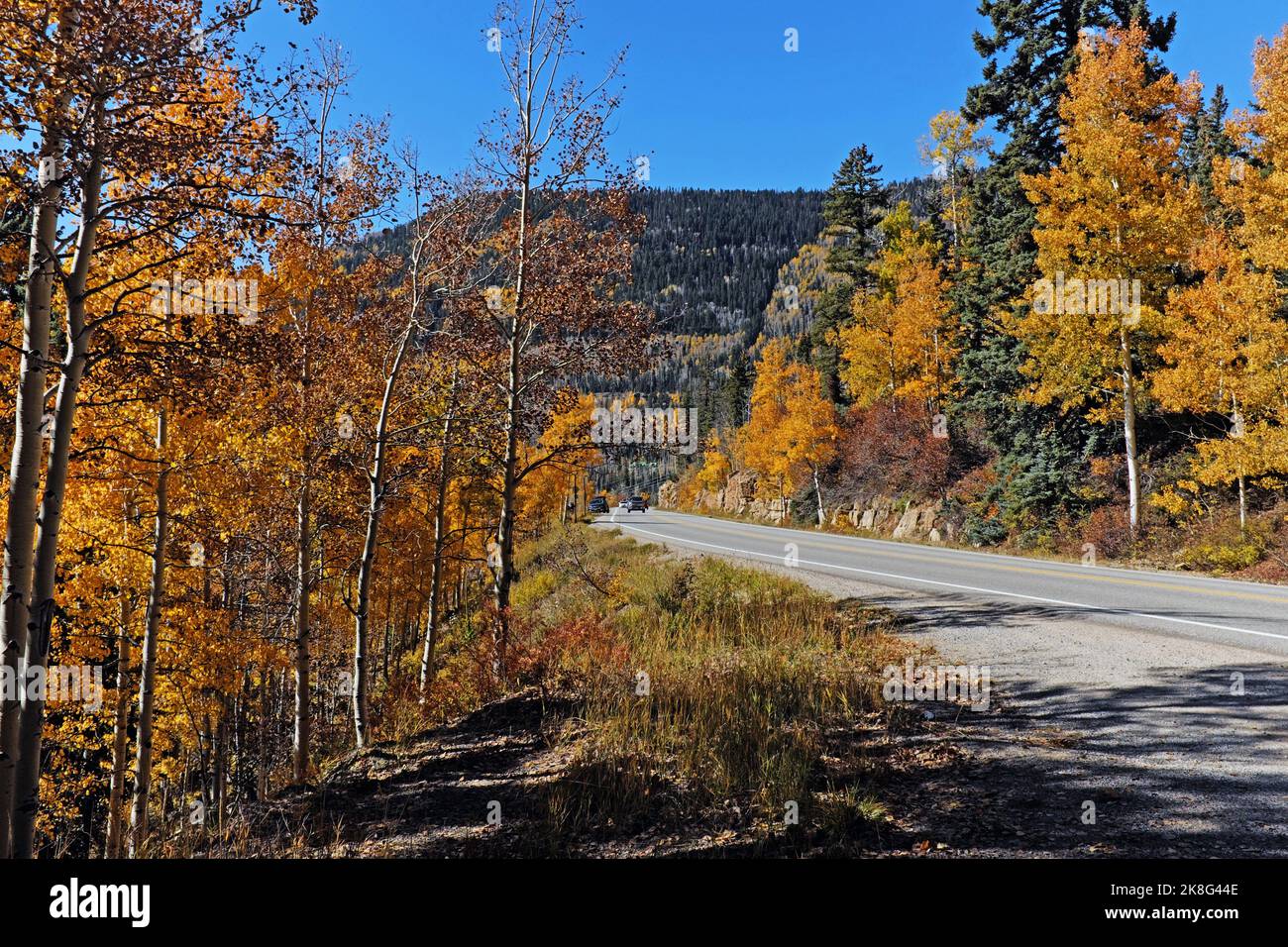 L'US route 550, qui regarde vers le sud, est une route colorée pendant l'automne car elle s'enroulent autour du paysage montagneux entre Durango et Silverton, Colorado. Banque D'Images