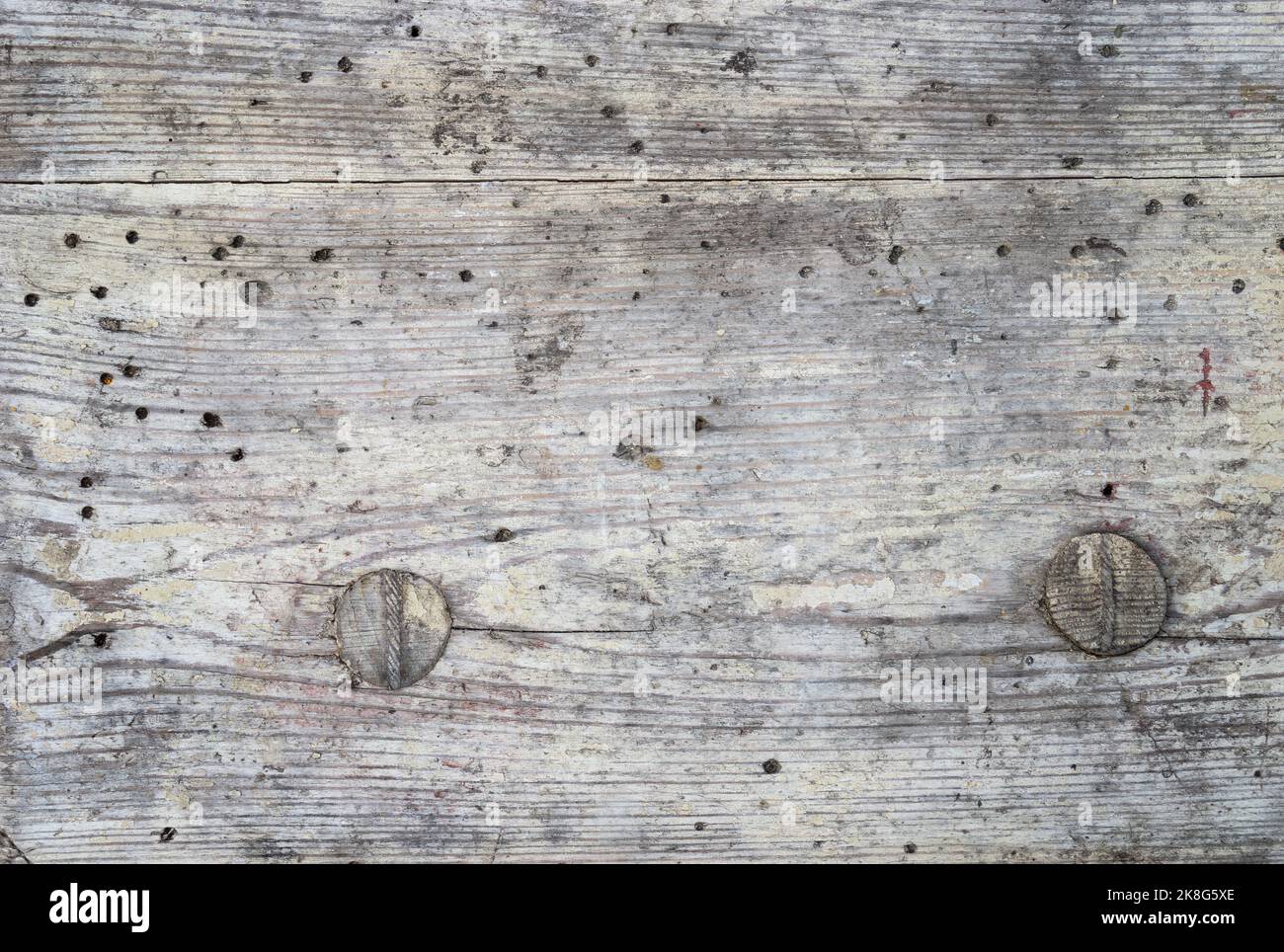 le bois abîmé a beaucoup de trous de la vis sans fin Banque D'Images