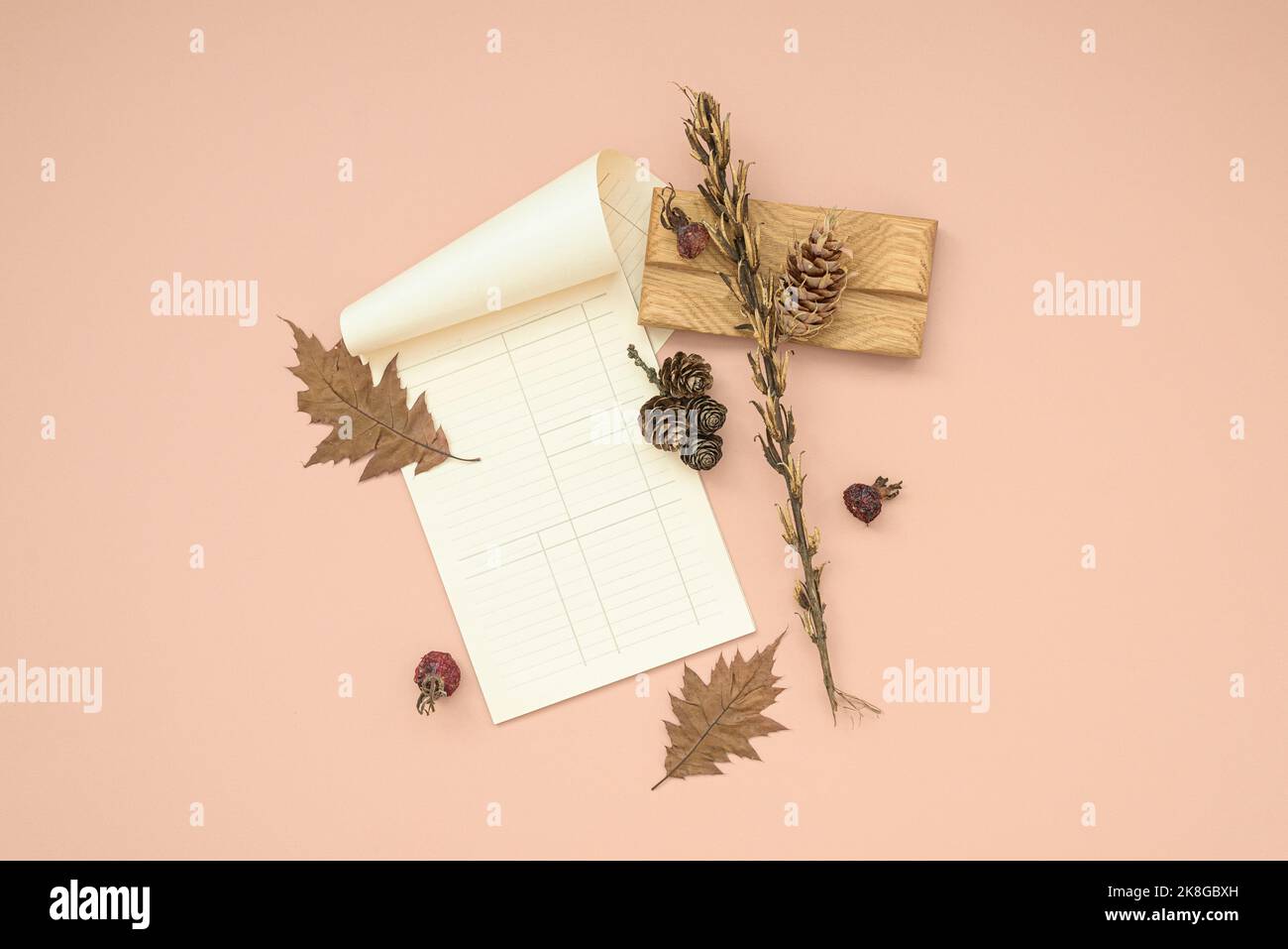Composition automnale de bloc-notes blanc avec feuilles vierges Banque D'Images
