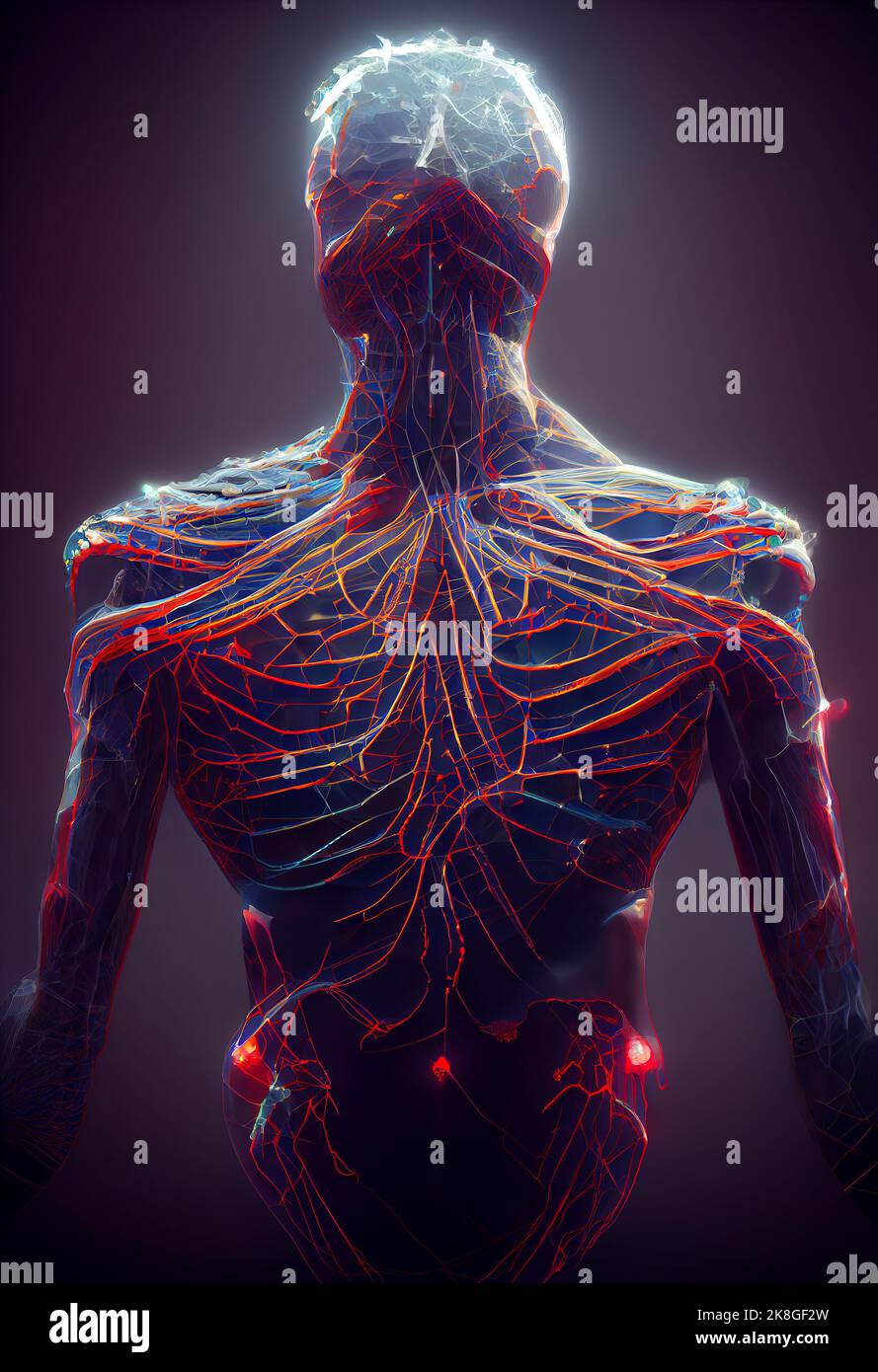 Réseau neuronal humain. Figure humaine neuronale. 3D Illustration numérique. Banque D'Images