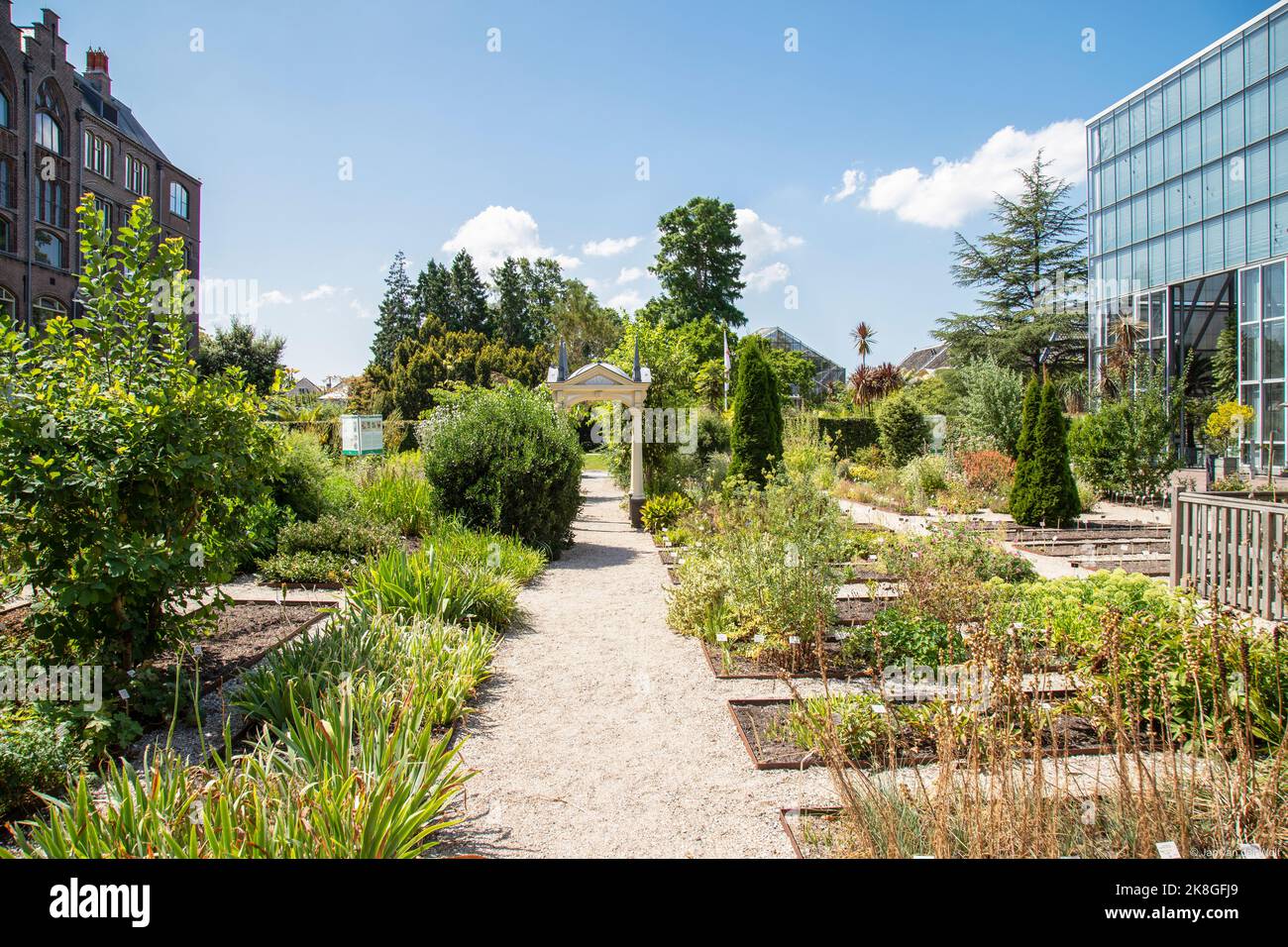 Hortus botanicus à Leiden. C'est le plus ancien jardin botanique des pays-Bas et a été fondé en 1590. Banque D'Images