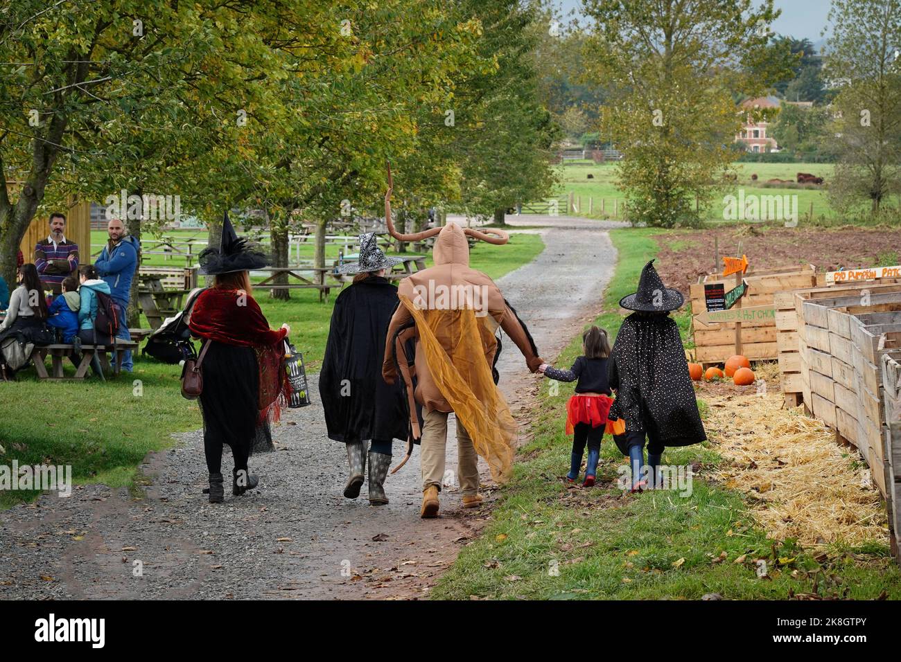 Exeter, Royaume-Uni - octobre 2022: Les familles visitent une cueillette de votre propre ferme pour cueillir et acheter des citrouilles pour la décoration d'Halloween Banque D'Images