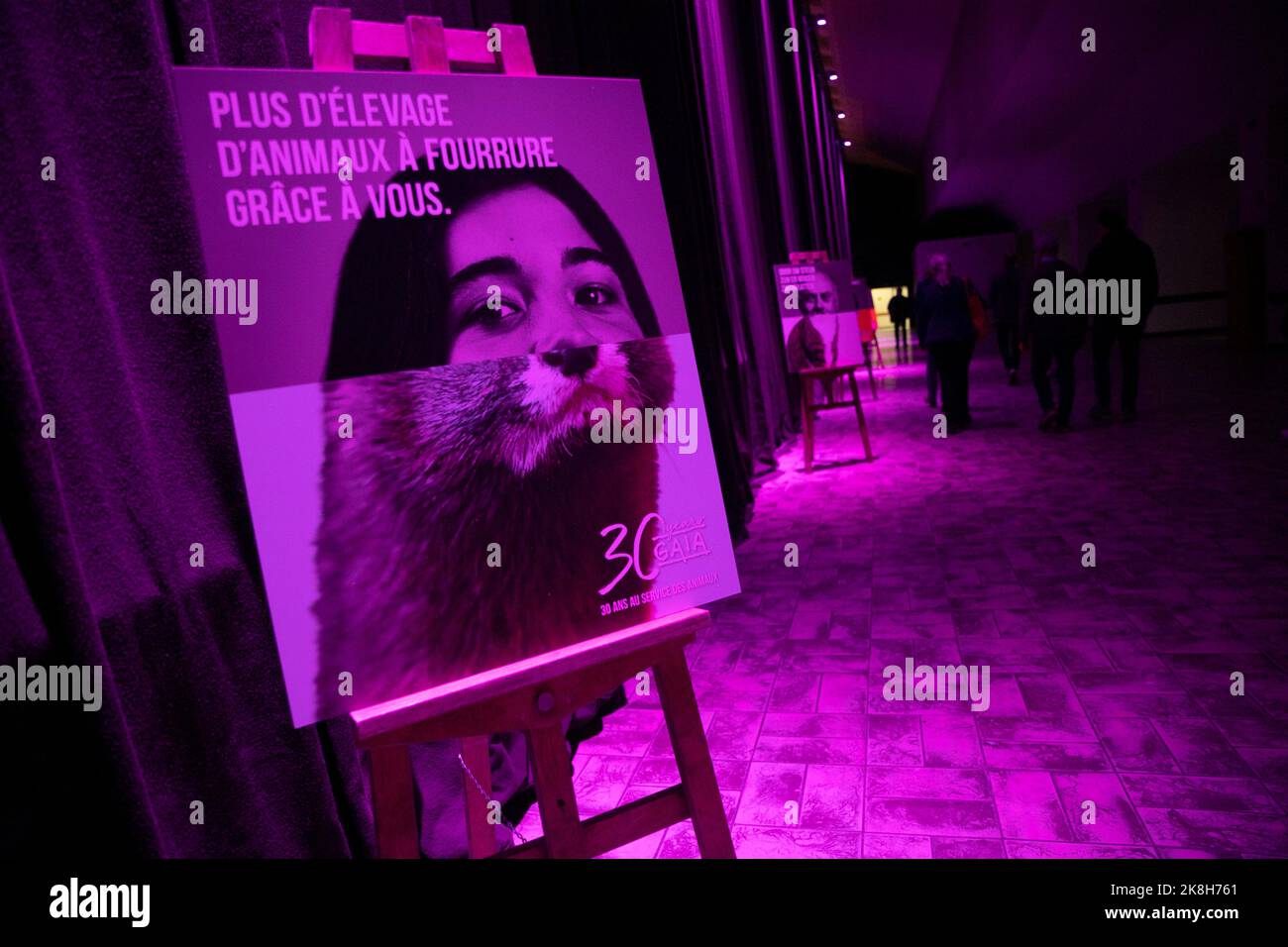 L'illustration montre le 30th anniversaire de l'organisation de protection des animaux Gaia, dimanche 23 octobre 2022, à Bruxelles. BELGA PHOTO HATIM KAGHAT Banque D'Images