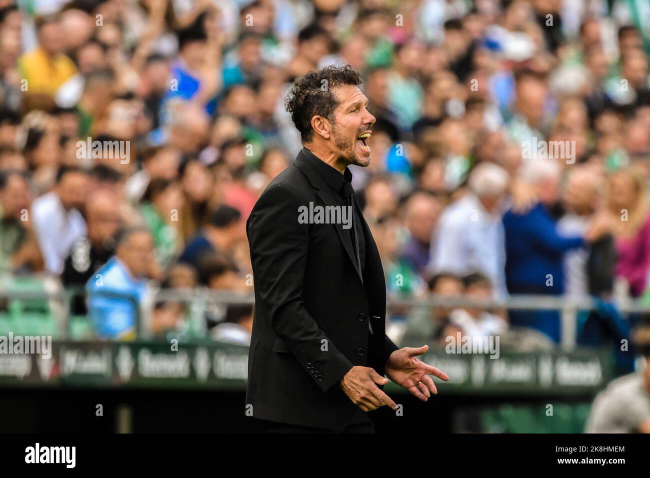 SÉVILLE, ESPAGNE - OCTOBRE 23: Diego Pablo Simeone, de l'Atlético de Madrid, réagit lors du match entre le Real Betis Balompie et l'Atletico de Madrid CF de la Liga Santander sur 27 août 2022 à Mestalla à Valence, Espagne. (Photo de Samuel Carreño/PxImages) Banque D'Images