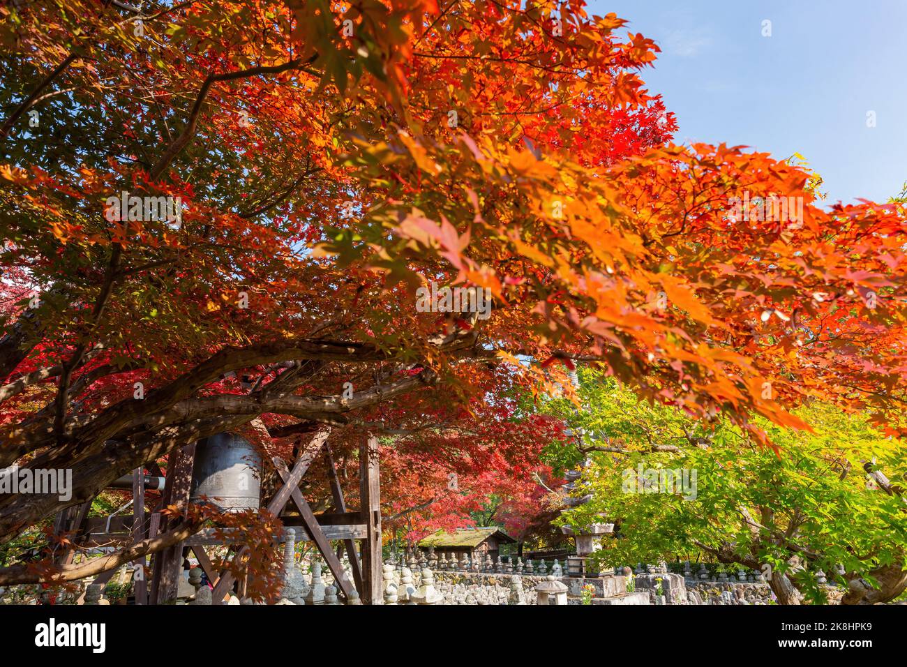 Paysage d'automne ensoleillé à Adashino Nenbutsu Ji, Arashiyama, Kyoto, Japon Banque D'Images