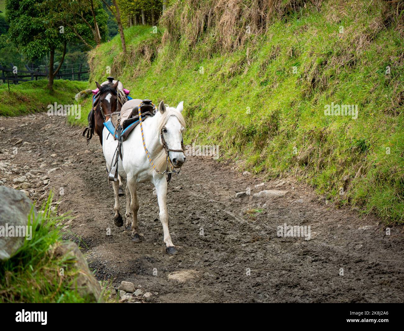 Des fainéants Banque de photographies et d’images à haute résolution Alamy