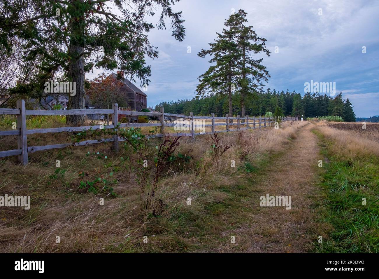 Ebey's Trail, réserve Admiralty Inlet, Whidbey Island, Washington, États-Unis Banque D'Images
