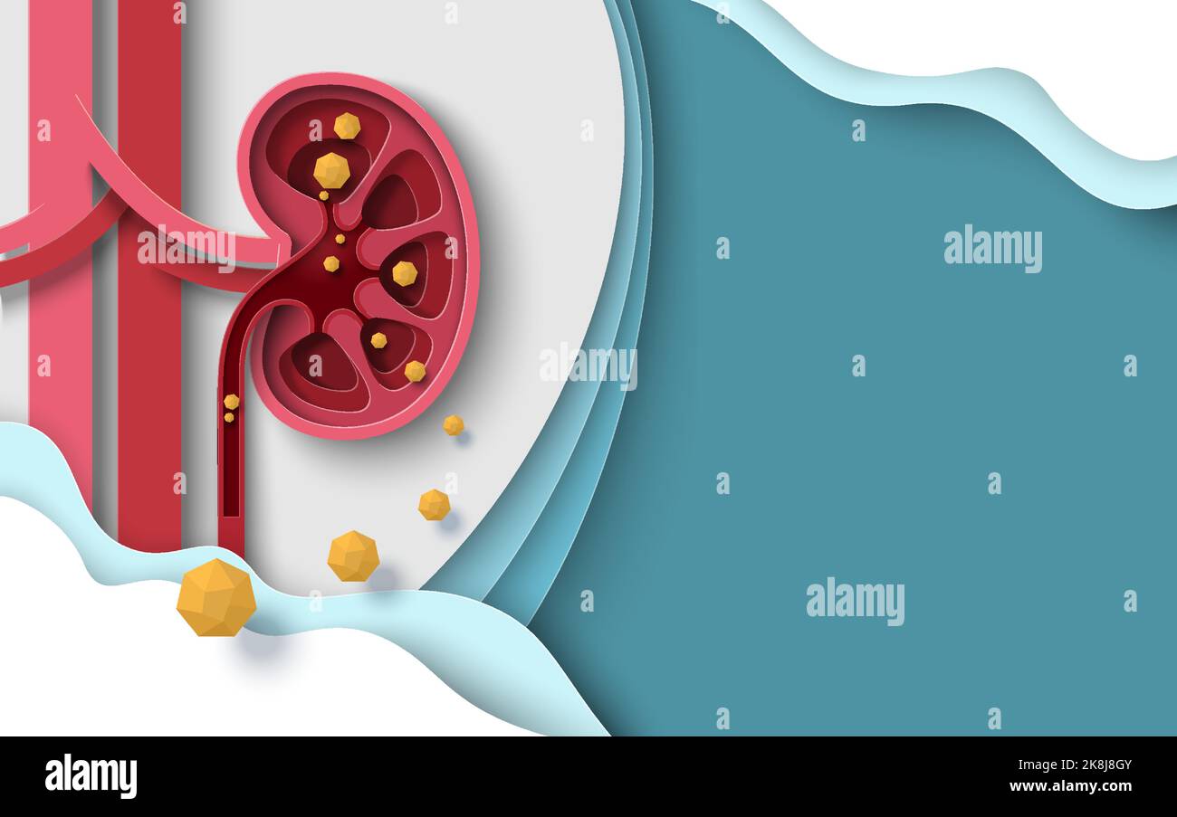 Calculs rénaux fond vecteur de maladie rénale humaine Illustration de Vecteur