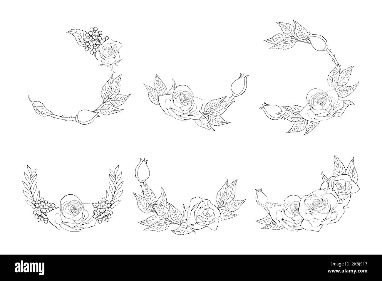 Roses dessin à la main gravé. Un rosebud fleuri. Illustration vectorielle. Illustration de Vecteur